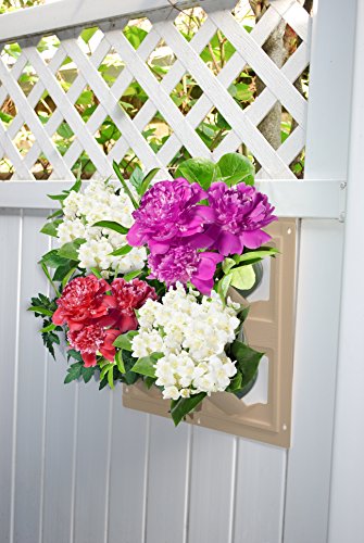 Bloomers Wall Flowers Vertical Gardening System – Create Gardens on Walls – Holds up to 4 Potted Plants – Sand - color: Sand, size: Wall Planter