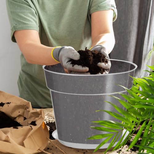 Baderke 3 Pack Clear Nursery Pot,11.65 Inches - size: 11.65 Inches