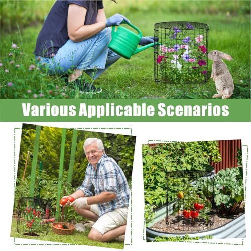 6 Packs Garden Plant Protectors from Animals,Metal Plant Cage, 11.8"x 12.6" - color: Black-6
