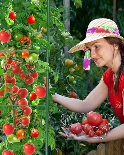MYMULIKE 3 Pack Tomato Cages for Garden, 51in*13in Adjustable Tomatoes Plant Stakes Support Cages Trellis, Garden Trellis for Vegetable Flowers Fruits Climbing Plants- 20 Binding Wires Included - size: 3pack-51in*13in