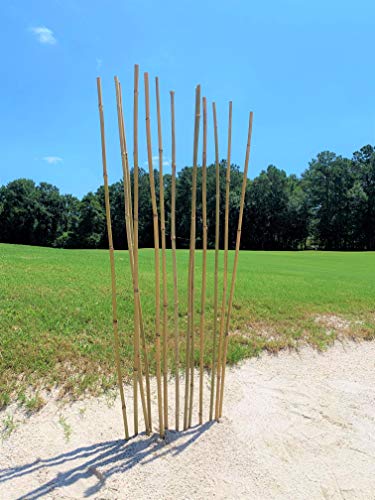 Natural Bamboo Poles, Eco-Friendly Plant Support Garden Stakes 4ft Long, Diameter of 1/2" (25-Count) - size: 4 ft, 1/2" Diameter (25-Count)