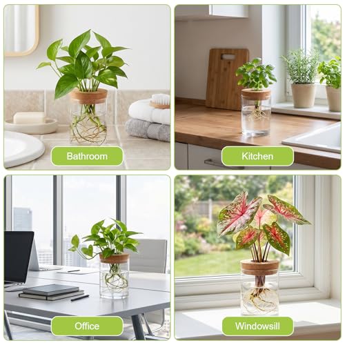 Kifmurase 8pcs Glass Propagation Stations, Desktop Glass Flower Vases for Propagating Hydroponic, 4 Large & 4 Small Propagation Vase for Plant Growing Hydroponic Indoor Home Office Tabletop Decor