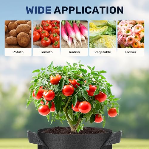 Simple Deluxe Grow Bags 5 Gallon 5 Pack Planter Pots with Handles, Thickened Nonwoven Fabric Aeration Cloth Bag, Heavy Duty Gardening for Tomoato, Potato, Vegetable, Herbs and Flowers, Black - color: 5 Pack, size: 5 Gallon 2025Version