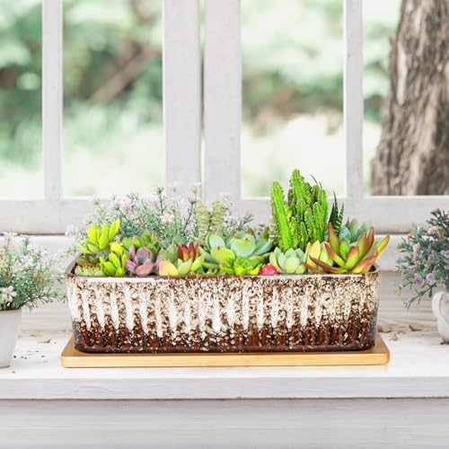 Succulent Pots, 12'' Long Rectangle Planters with Tray, Windowsill Planter - color: White