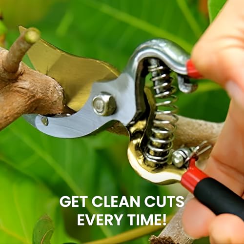 Garden Guru Indestructible Titanium Garden Clippers Professional Bypass Hand Pruner Pruning Shear with Comfort Grip Handles for Gardening Trimming and Yard Work Hardened Steel & Titanium Blade(4 Pack) - size: 4 Pack, style: Titanium Bypass