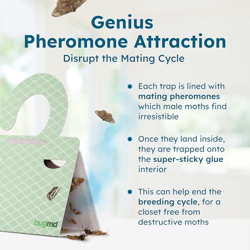 BugMD Clothes & Pantry Moth Traps with Sticky Glue - color: Green, size: 3 Pack - 18 Traps