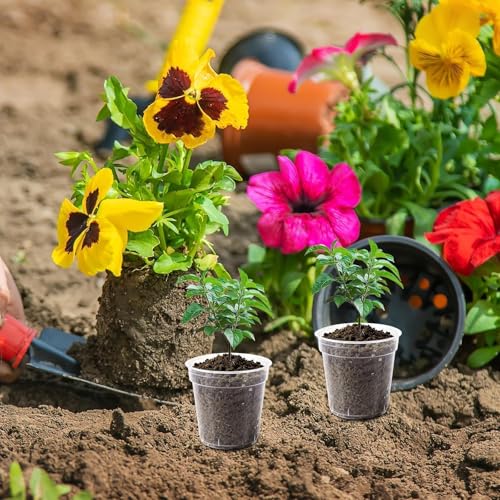 120 Pcs 2 Inch Clear Nurery Pots, Seedling Pots with Drainage Holes - color: Clear