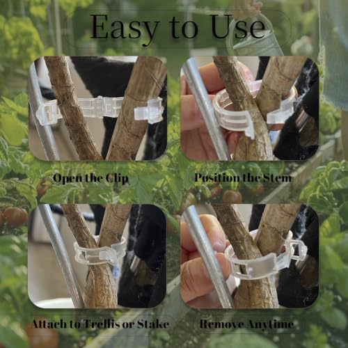 Plant Fixing Clips — Gardening Vine Support Buckles — Suitable for Tying the Stems of Climbing Plants (e.g., Tomatoes, Cucumbers)