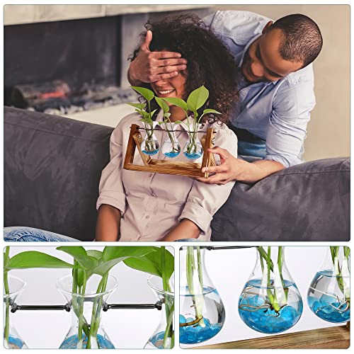 Plant Propagation Station Accessories, 2 Pack Glass Hyacinth vase
