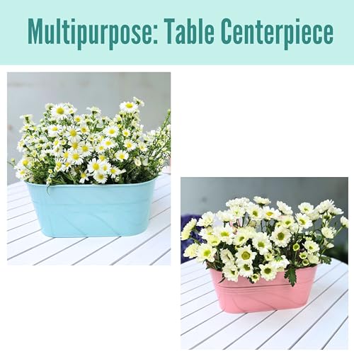 LaLaGreen Outdoor Rail Planter (11.2 in, 6 Pack) Rainbow Metal Hanging Pots - size: Multi-H 11.2" x 6 Pack