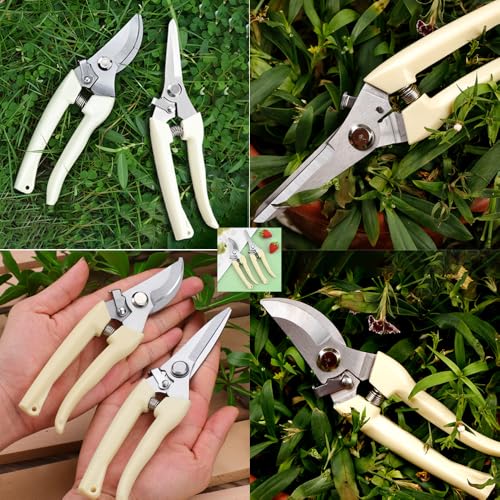 White Dual-Blade Set, Straight & Curved Stainless Steel Garden Shears, Sharp Handheld Trimming Tools for Flowers & Fruit Trees, Gardening Gifts for Women & Men