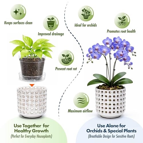 D'vine Dev Orchid Pot, Clear Pot & Saucer, Smoked White, 6.7 in, 28-A-Y-1 - color: Smoked White, size: 6.7"