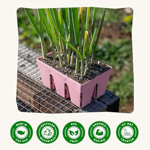 Epic Gardening 6-Cell Seed Starter Tray - 6 Trays - Pink - color: Pink