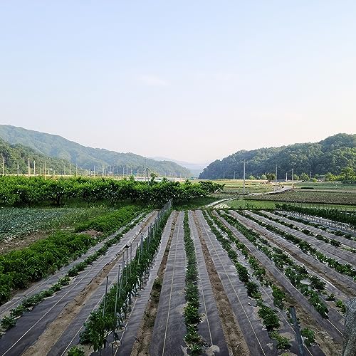 KANAGAWA 3ft x 100ft Weed Barrier Fabric, 6oz Heavy-Duty Woven Landscape Fabric with Staples, Breathable Weed Control for Garden Beds, Driveways, Farming & Landscaping - size: 6oz-3x100ft