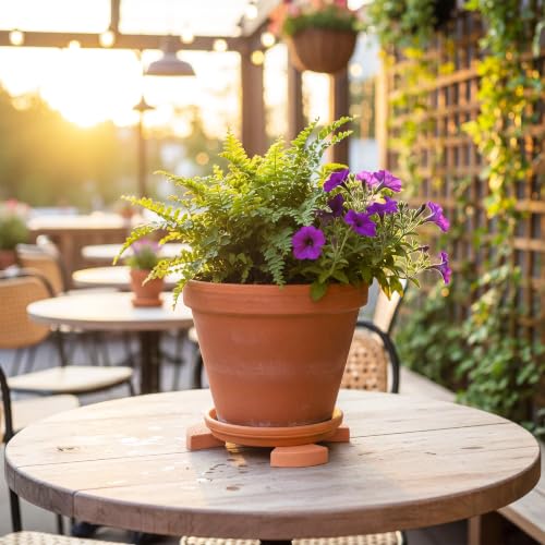 LemonRoad 12 Set Terra Cotta Cement Pot Feet for Outdoor Planters, Sector - style: Sector