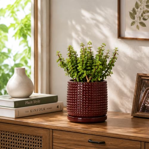 D'vine Dev Beaded Ceramic Pot with Saucer, 6 in, Burgundy Red, 27-C-X-M - color: Burgundy Red, size: 5.8 Inch