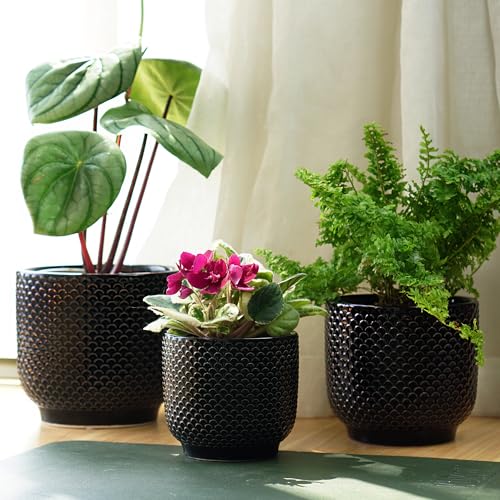 4 + 5 + 6 Inch Ceramic Pots for Indoor Plants, Succulents Plant Pots, Orchid Flower Pot with Drainage Hole, Modern Clay Stoneware Planters, Set of 3 (Black, 4+5+6 Inch) - color: Black