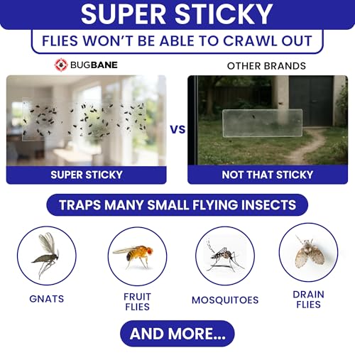 50 Window Fly Traps Sticky Non-Toxic Clear Fly Paper Indoor for Home. No Mess Flies Window Sticky Traps Bug Flies Strips Indoors. Fruit and Housefly Trap Indoor Flypaper Tape Gnat Catcher Killer