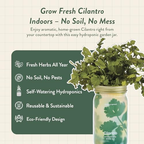Modern Sprout Mason Garden Jar - Self-Watering Hydroponics Kit - Cilantro - color: Cilantro, size: Garden Jars