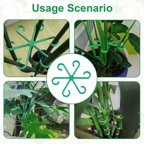 16 Pack Adjustable Indoor Plant Support Stakes, Reusable Plastic Stem Holders & Trellis for Monstera, Pothos, Vines Vertical Growth Air Circulation Stable Stem Support (Green) - color: 16 Pcs Green