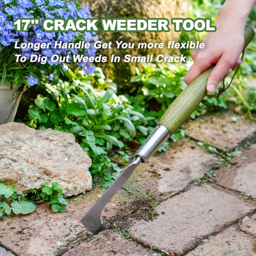 Haliaeetus Crack Weeder Tool, 17'' Stainless Steel Crevice Weeding Tool - size: 17'' Crack Weeder Tool