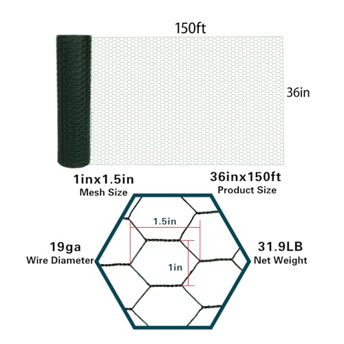 Green 19GA Chicken Wire 36inx150ft, Chicken Wire Fencing, Chicken Fence, PVC Coated Chicken Wire, PVC Coated Wire Mesh for Animal/Rabbit/Floral/Chicken Coop/DIY Projects. - color: Green, size: 36inx150ft