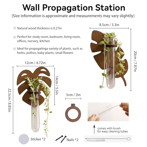 Artilady Plant Propagation Station Wall Hanging, Planter Terrariums Tube - color: Leaves
