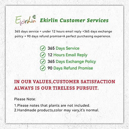 Ekirlin 6 Inch Indoor Plant Pot, Natural Cement Grey Garden Planters, Outdoor Concrete Flower Plant Pots with Drain Hole Saucer Tray, Modern Succulents Containers for Home Decor,Office and Most Plants - size: 5.6 inch