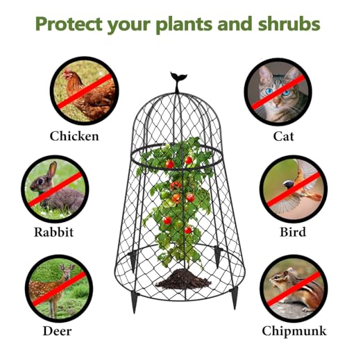 6 Packs Garden Cloches for Plants, Plant Protectors from Animals, Chicken Wire Cloche, Plant Cloche and Cage, Protection for Your Plants and Seedlings, 13" D x 20" H - Black - size: 6pcs - 20" High
