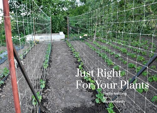 AlpineReach Trellis Netting 5 x 350 ft Heavy Duty Polyester White - 6 Inch Mesh Support Twine for Growing High Yield Tomatoes, Peas, Vine Climbing Plants Fruits Vegetables