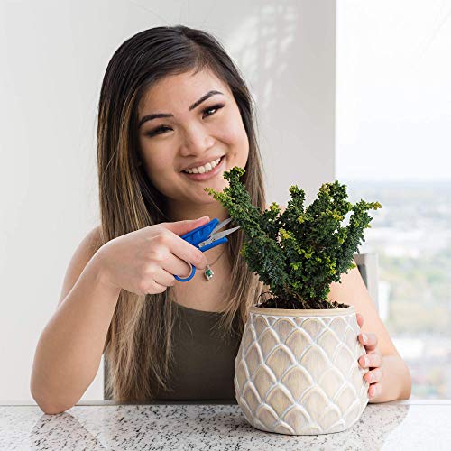 Happy Hydro - Mini Garden Clippers - Designed for Precise Pruning and Trimming - 10 Pack