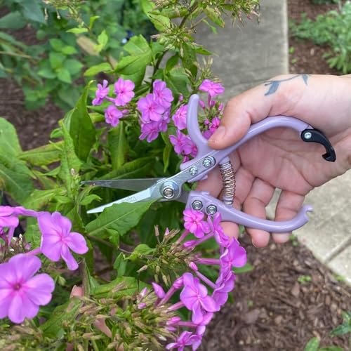 Modern Sprout Pruning Shears - Garden Snips - Herb Scissors - Multi 12-Pack - color: Multicolor - 12pcs