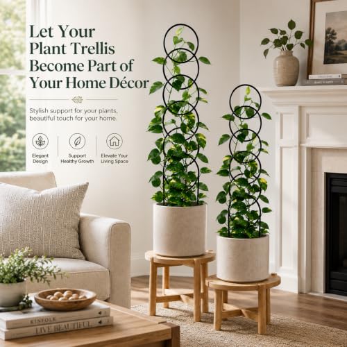 24 Inch Plant Trellis Indoor for Climbing Plants, Metal Plant Trellis