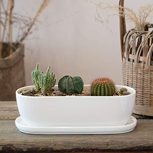 E-liu 11 Inch Oval Ceramic Planter Pot with Drainage Hole Saucers - color: White, size: 11 inch Single