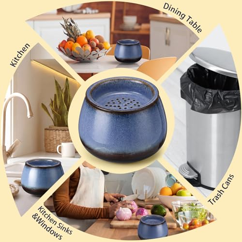 1 Pack Ceramic Fruit Fly Traps Reusable, Reactive Glaze, Cobalt Blue - color: Cobalt Blue, size: Reactive Glaze