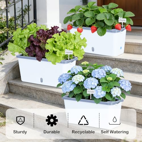 Oliz Window Box Planter 4 Packs, 14 Inches Rectangle Flower Pots with Breathable Drainage Holes, Pots for Vegetables, Herbs, Flowers, Garden Windowsill Balcony (White & Grey) - color: White & Grey