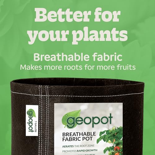 GeoPot 7 Gallon Fabric Grow Bags for Vegetables, Houseplants, Herbs & Flowers |5-Pack| Fabric Pots for Outdoors and Indoors, Aerated Fabric Grow Bags - size: 7 Gallon (5-Pack), style: No Handles