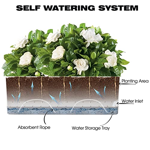 Self Watering Planters Pots for Indoor Plants, 7 Pack Plastic Planter Box Flower Pots for Indoor Outdoor Plants, Rectangle Herb Planter Window Boxes Planterswith Drainage, Light Gray Tray - color: Light Gray, size: 4+8+17 Inch (7 pcs)