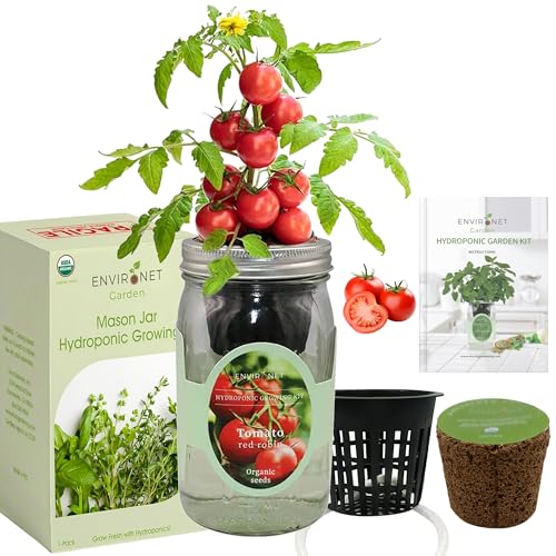 Hydroponic Tomato Growing Kit, Self-Watering Mason Jar Tomato Garden Starter Kit Indoor, Grow Tomatoes from Organic Seeds (Red Robin Tomato) - color: Tomato- Red Robin