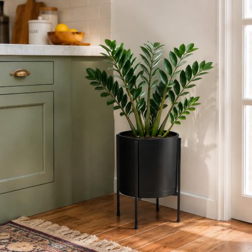 D'vine Dev Plastic Planter Pot with Metal Stand, Black, 10 in, 55-D-B-2 - color: Black, size: 10 Inch