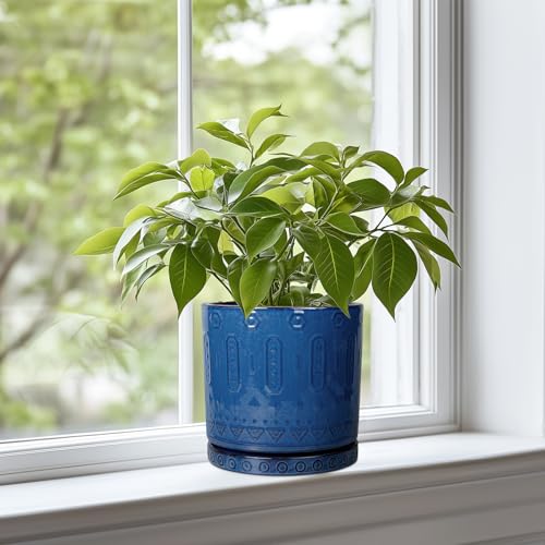 Eightpot 6 Inch Plant Pot - Ceramic Planter for Outdoor Plants Indoor Plant Pot with Drainage Holes and Saucer Succulent Pot Modern Round Flower Pot for House Room Decor Blue - color: Blue, size: 6 Inch
