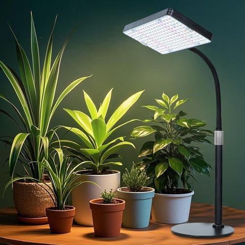 FECiDA Bonsai Grow Light, Table Grow Lights for Indoor Plants Collection - size: 1-Head Dimming