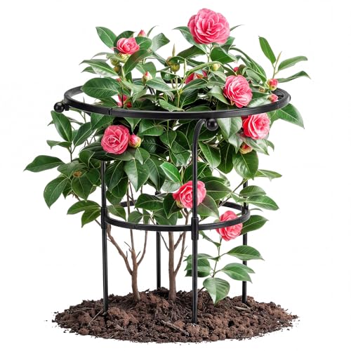 2 Pack Large Peony Cages and Supports, 26" H x 20" D Grow Through Plant Support Rings, Plastic Rings with Stainless Steel Stakes for Peonies, Roses Tomato Hydrangea Strawberry