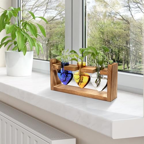 Plant Terrarium Propagation Stations Hydroponics - color: Color 3