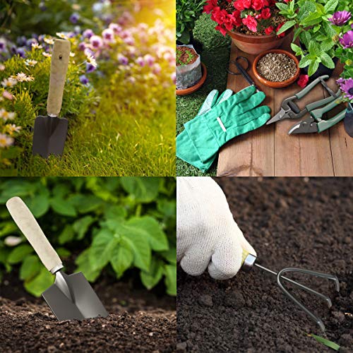 8-Piece Garden Hand Tool Set - Canvas Tote Gardening Tool Kit with Snip, Pruner, Rake, Trowel, Shovel, Spray Bottle, and Soft Wire Tie by Pure Garden - style: 7 Piece