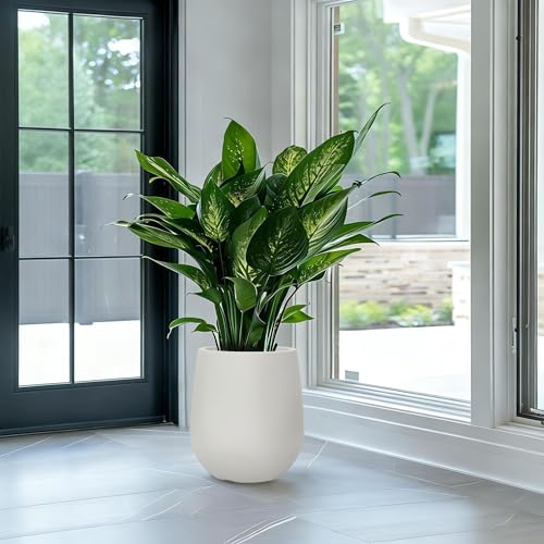 16.9" H Large Tall Plastic Planter w/ Drainage Holes and Plug, Chalk Beige - color: Beige, size: 16.93"