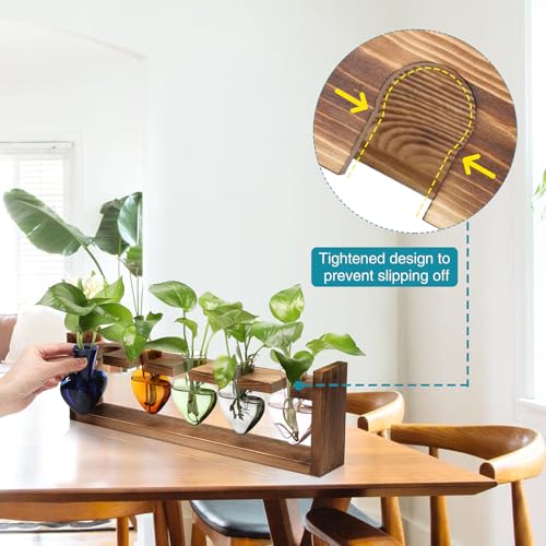 Plant Terrarium Hanging Propagation Stations Gift for Women - color: Color