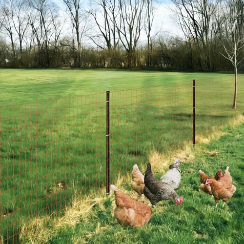 Red PVC Coated Welded Wire Fence 36" x 50' Roll, 2"x4" Mesh, 14 Gauge - color: Red, size: 2''x4'' 14GA 36''x50'
