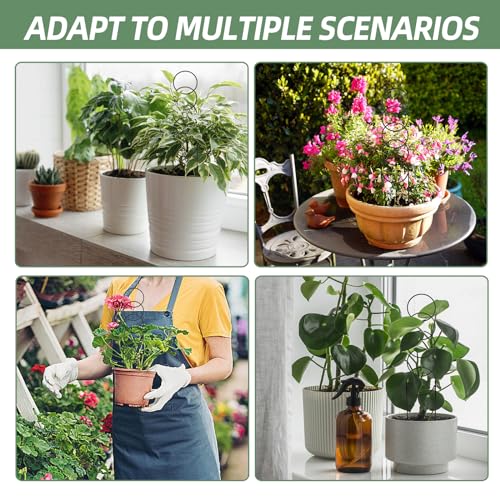 17.5 inch Small Trellis for Potted Plants, Metal Plant Trellis Indoor - color: Circular-Metal