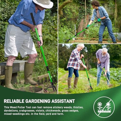 Weed Puller,Stand-Up Weeding Picker Tool,Detachable Hand Weed Root Remover Tool,with 4-Claw Steel Head & 3-Sectioal Pole Long Handle for Lawn/Yard and Garden Gripper Without Bending or Kneeling